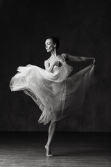 Young beautiful ballerina is posing in studio - obrazy, fototapety, plakaty