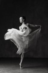 Young beautiful ballerina is posing in studio