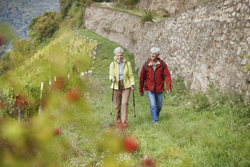 Germany, Rheingau, happy senior couple hiking together