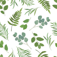 Greenery seamless pattern with eucalyptus branch, fern, green leaves, herb for wedding card, fabric, textile, wrapping. Vector illustration. Rustic style