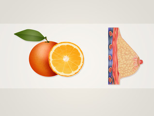 the benefits of oranges on the breast © adrenalinapura