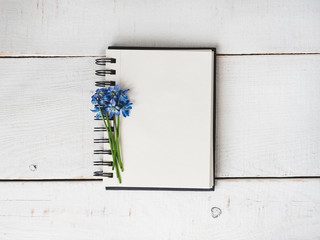 Empty note pad for congratulations to colleagues, friends, relatives and loved ones with beautiful flowers on an isolated, light background. Preparation for the holiday