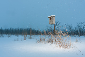 A birdhouse in a meadow with falling snow at night.