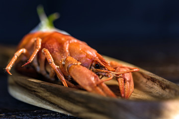 Boiled crayfish on rustic wooden background