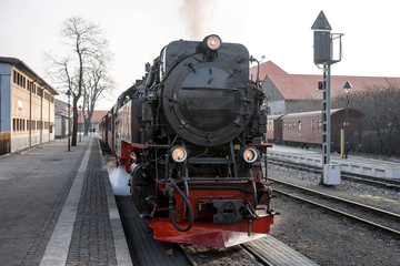 Fototapeta na wymiar Brockenbahn im Bahnhof Wernigerode