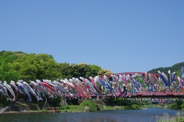 Fototapeta na wymiar 川上峡の鯉のぼり　佐賀県嘉瀬川