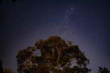 Australian Nights Sky 