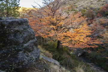 Autumn postcard from Patagonia
