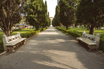 Fototapeta premium Beautiful bench in the park. Spring sunny day
