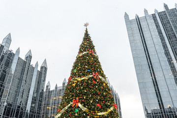 Fototapeta premium Christmas Tree in Pittsburgh
