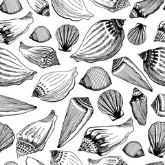  Sea shells seamless pattern. Hand drawn vector illustration.