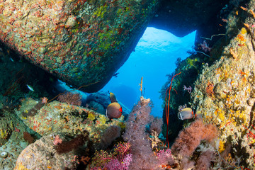 Small underwater cave on a tropical coral reef