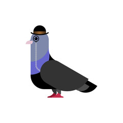 Pigeon Aristocrat in hat bowler. Dove in pince-nez. Vector illustration