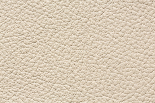 Classic white leather background for your design.
