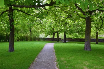 a beautiful park with trees. A stone lane in the middle