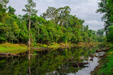 Nature Angkor Wat, Cambodia