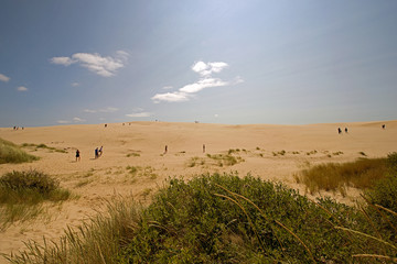 Tourists on wandering dune in northern Jutland Denmark
