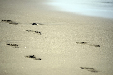 砂浜の足あと