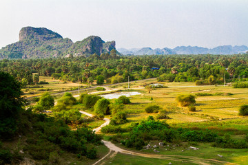 Cambodian nature, Kep, Cambodia