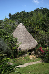 Traditional thatched building with a straw roof, of the indiginous people of Colombia, South America.