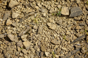 texture of the ground