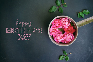 Mother's Day roses for pretty pink flower graphic for the holiday.