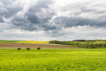 Three people on horseback in amazing colorful spring landscape