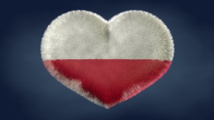 Cuore bandiera della Polonia.