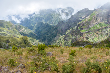 Fototapeta na wymiar Madeira nature hiking travel, Portugal