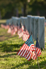 Veterans Cemetery with Flags