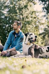 Man sitting in park with handsome harlequin great dane dog in afternoon sun