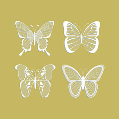 lace butterflies vector