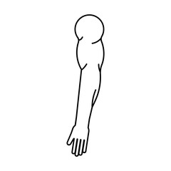 Arm muscle icon
