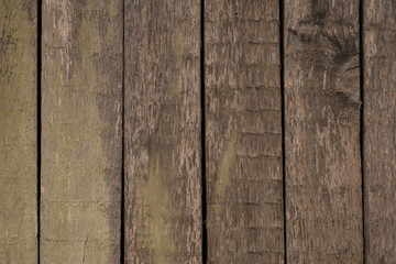 wood texture close-up