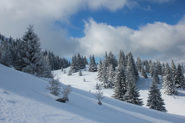 Jahorina mountain winter