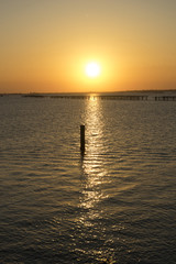 Clams cultivation in the Scardovari lagoon