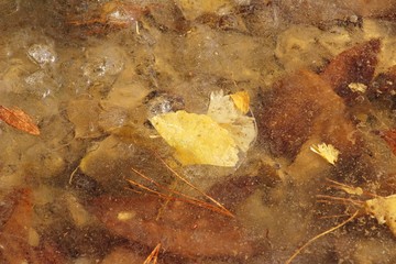 Natural ice into winter in South Korea