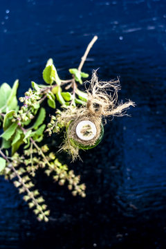 Ayurvedic/ Herbal/ Medicinal essence of herb Tulsi or Holy basil in a transparent bottle with leaves and flowers of holy basil used in medicines of cough, fever and common cold.