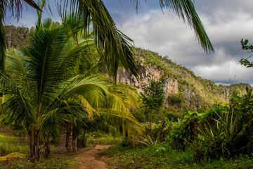 Obraz premium Vinnales Valley, Cuba