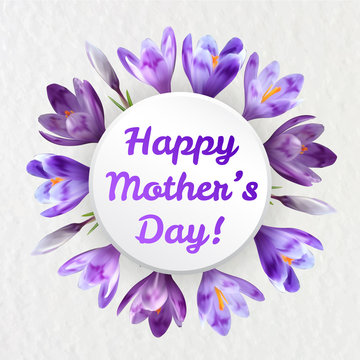 Mothers woman day greeting card poster banner template  with purple violet saffron crocus flower frame and copy space