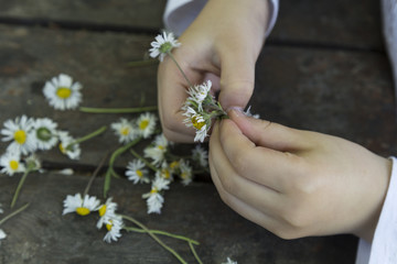 kid plays with daisy, children activities.