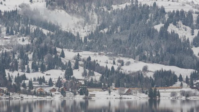 Hill covered by trees and snow