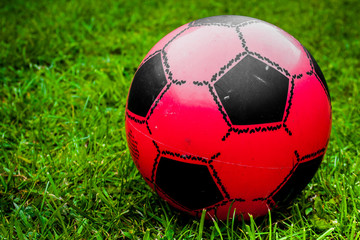 Fototapeta na wymiar Child's small red football on green grass