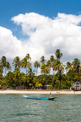 Boy in canoe on beautiful beach with coconut trees in the sea of Bahia, Brazil.