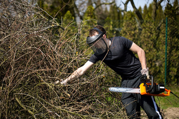 Obraz premium Professional lumberjack / woodcutter with electric chainsaw and helmet clearing the garden of felled tree