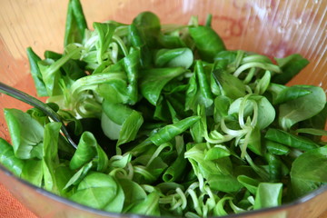 Fresh green salad leaves in the glass pot with iron spoon