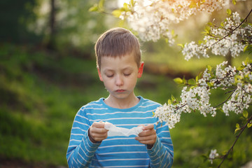 Allergy concept. Little boy is blowing his nose near blossoming flowers