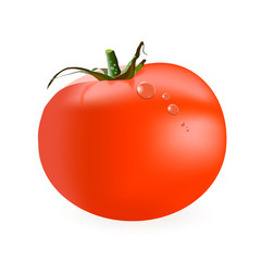 Vector illustration of a tomato.