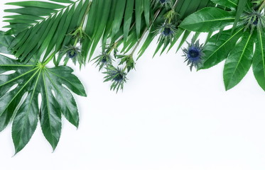 Naklejka premium Abstract frame made of green tropical leaves on white background. Flat lay, top view. copy space