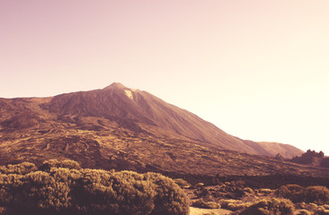 Teide National Park, Tenerife, Canary Islands, Spain